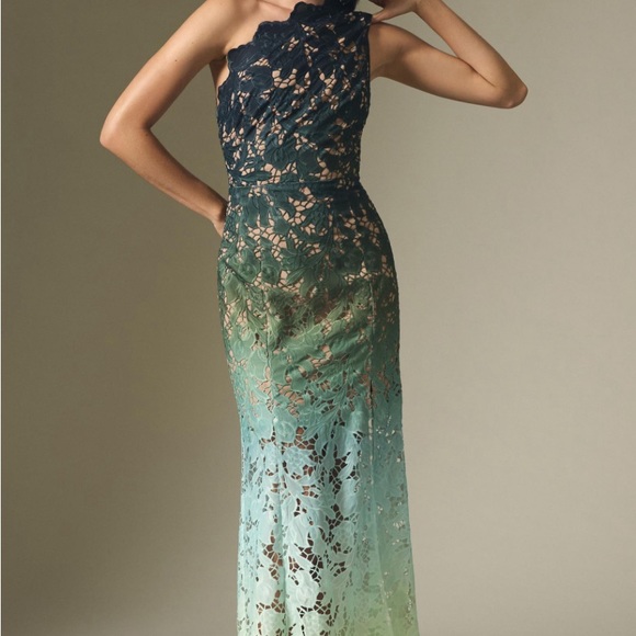 Elliatt Karolina Ombre Lace One Shoulder Sheer Gown Maxi Dress Anthropologie - Picture 3 of 3